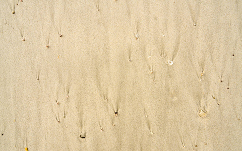 沙子中的重复模式2