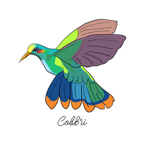 矢量画的热带标志符号蜂鸟鸟在白色背景下素描风格。徽标设计模板