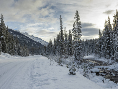 积雪覆盖的道路通向山脉, Maligne 湖, 贾斯珀, 贾斯珀国家公园, 加拿大艾伯塔省