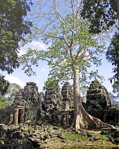 吴哥，暹粒，Banteay kdei 寺