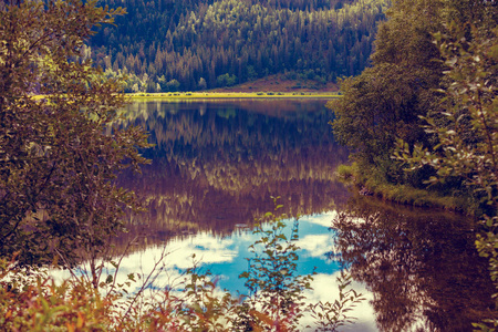 山湖的岩石岸边在薄雾的秋天早晨。挪威的美丽的性质。反射在湖