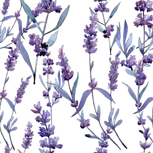 紫罗兰色薰衣草花卉植物花。野春叶野花图案