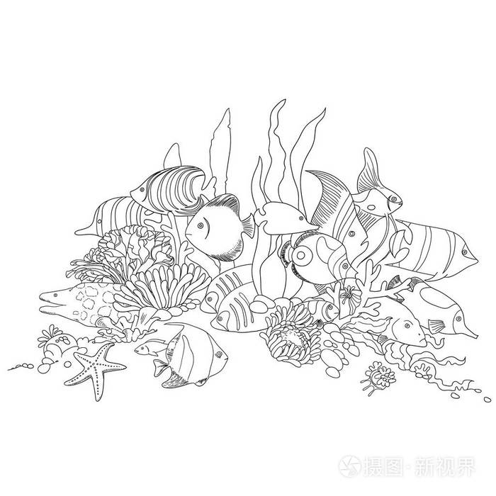 珊瑚鱼概述卡通涂鸦.矢量插图插画-正版商用图片049xof-摄图新视界
