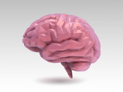 低聚光泽粉红色的大脑与3d 阴影插图隔离在白色背景上