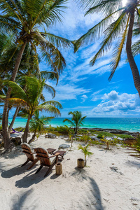 墨西哥的热带度假胜地天堂海滩棕榈树下的椅子
