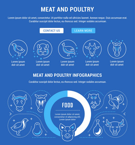 肉类和家禽的网站横幅和登陆页