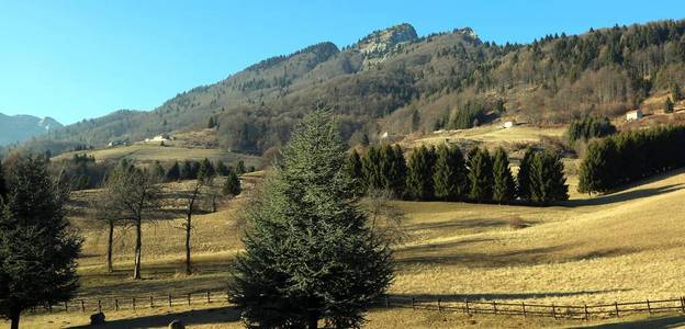 山在意大利北部在冬天与山电话