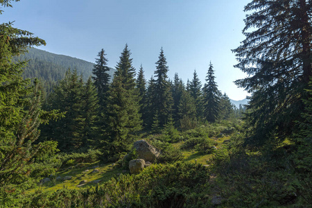 保加利亚 Pirin 山 Begovitsa 河谷景观