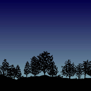 夜森林树剪影背景