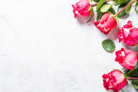 石桌上的红玫瑰花