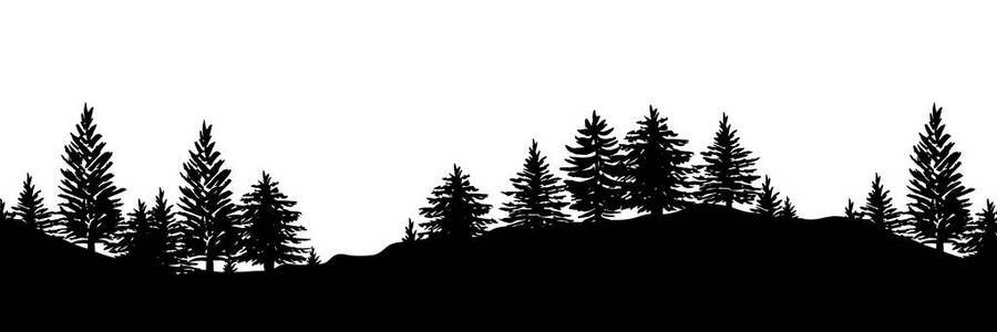 森林树木剪影背景照片