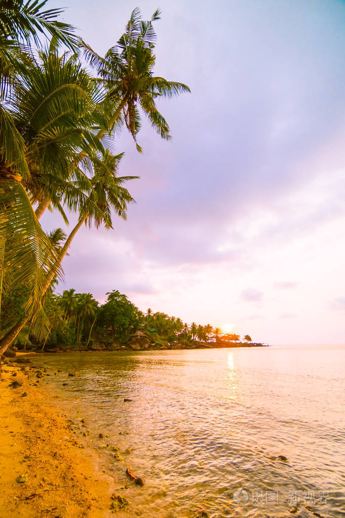 美丽的天堂海岛与海滩和海在椰子棕榈附近