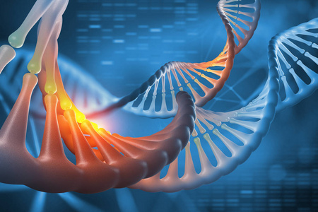 dna.3d 插图。解码基因组序列。Dna 分子结构的科学研究。螺旋分解。现代, 清洁设计高分辨率