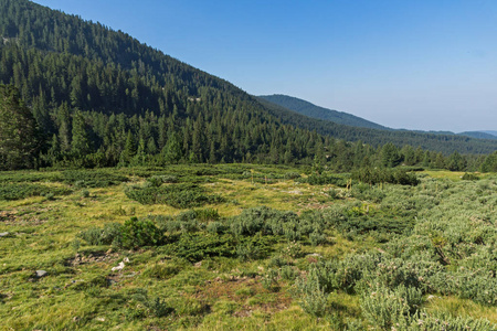 保加利亚 Pirin 山 Begovitsa 河谷景观