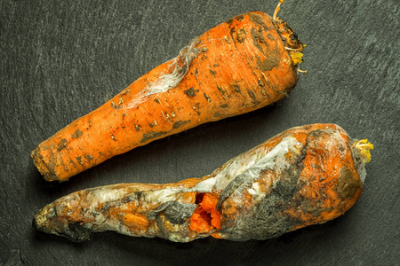 两个发霉的坏胡萝卜在一个纹理的黑色石材背景照片