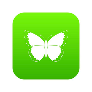 蝴蝶图标数字绿色