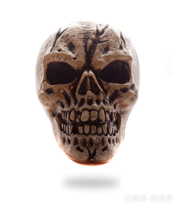 正面视图人类头骨