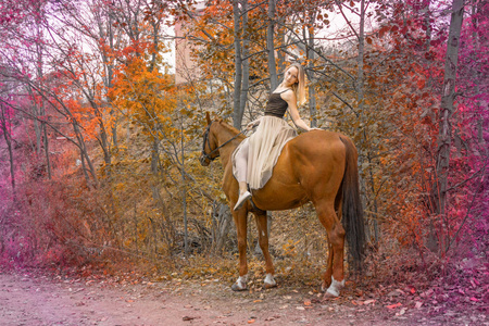 一个年轻的金发女郎摆着一匹马, 一个漂亮的女孩和一匹强壮的马