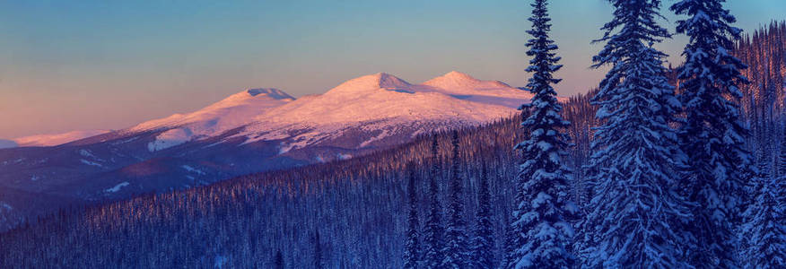 冬季山景, 山顶上的山峰被日落照亮。全景照片