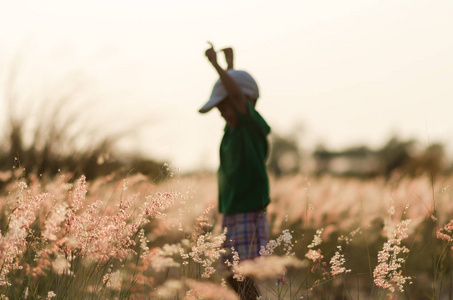 快乐的小男孩跑过草地的绿色田野。乡下美丽的日落时光。快乐童年概念