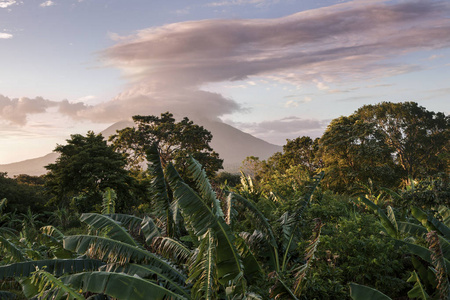 尼加拉瓜的 Ometepe 岛马那瓜, 尼加拉瓜