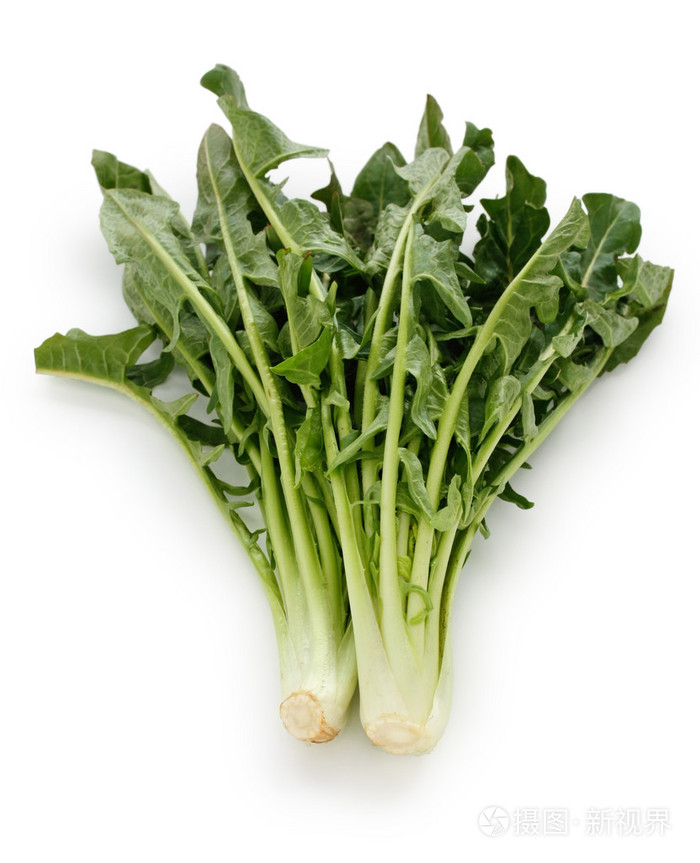 菊苣catalognafrastagliate