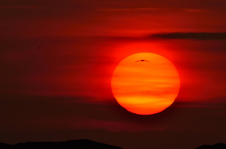 美丽的夕阳