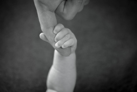 婴儿抱着父亲的手指图片