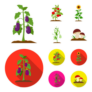 茄子, 西红柿, 向日葵和豌豆。植物集合图标在卡通, 平面式矢量符号股票插画网站