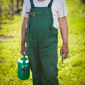 高级园艺师(彩色调色图像)花园里的高级园艺师(彩色调色图像)一位老人