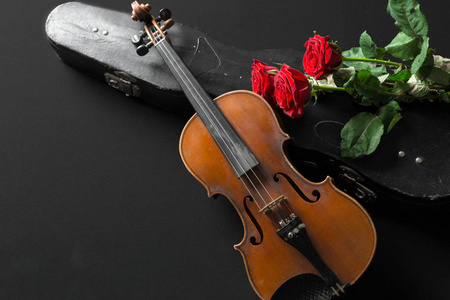 小提琴和玫瑰黑色背景