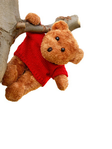 泰迪熊吊在一棵树