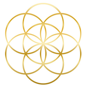 生命之花之金籽照片