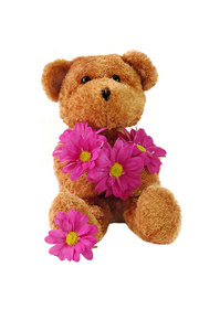 泰迪熊和粉红色的花朵