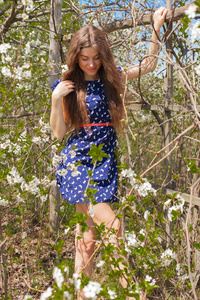 美丽的女孩在夏天礼服围拢由一棵盛开的树在充分的成长