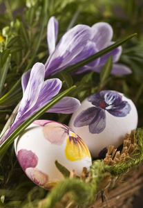 彩绘的鸡蛋和番红花在复活节