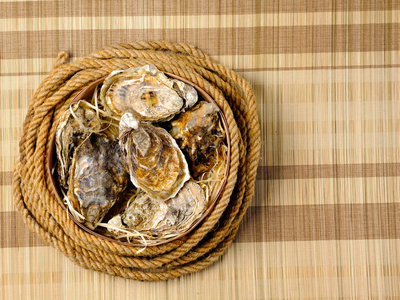 木碗中新鲜牡蛎的顶部视图与复制空间表上的绳子