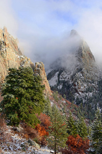 颜色鲜艳的高山森林景观与雪，桑迪亚山脉，新墨西哥，美国