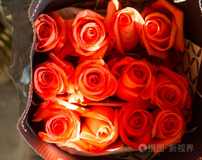 花束上的花朵的画像 玫瑰花束 不同颜色 顶部视图 肖像图像照片 正版商用图片04clar 摄图新视界