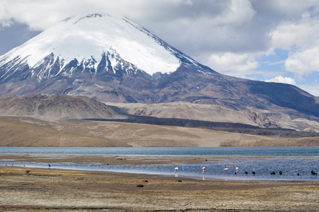 parinacota 火山