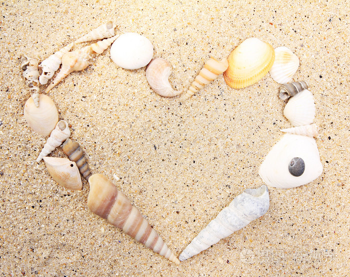 海贝壳心的形状