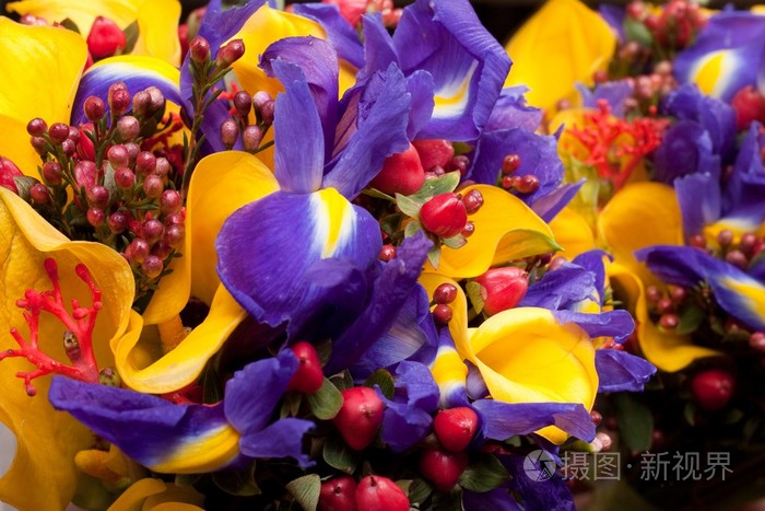 与紫色鸢尾花和黄色卡拉丝的花束