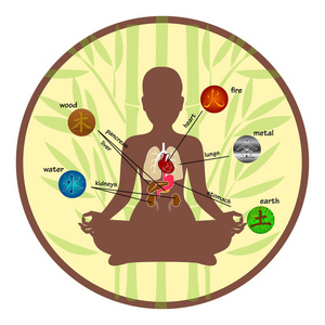 五元素和人体器官照片