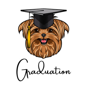 约克郡猎犬狗毕业。毕业帽帽。毕业课文。狗肖像。向量