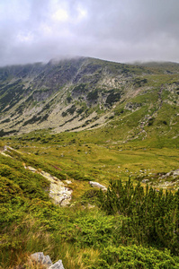 美丽的风景，在山中