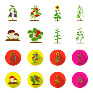 蘑菇, 草莓, 玉米, 黄瓜。植物集合图标在卡通, 平面式矢量符号股票插画网站