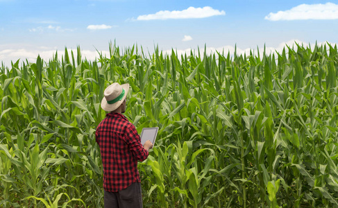 数字平板电脑在耕地玉米田种植中的应用