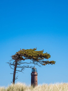 在波罗的海海岸灯塔 Darsser Ort