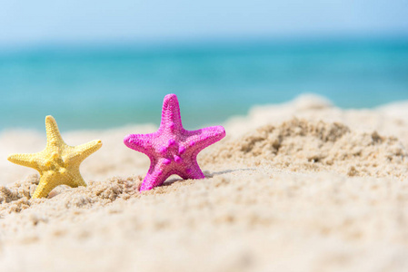 五颜六色的海星在海滩背景蓝色天空。夏日理念