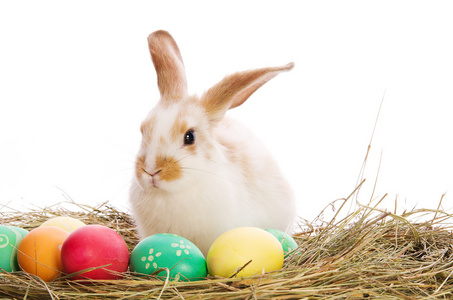 在干草堆的彩蛋复活节兔子